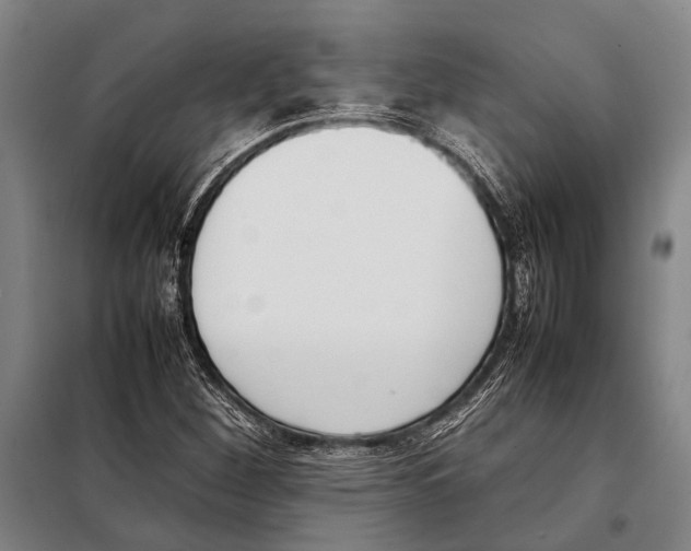 X0000097981260200804211029