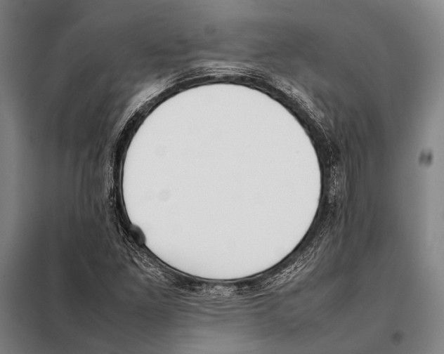 X0000097981261200804211029