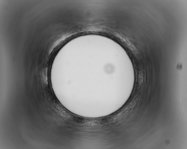 X0000097981262200804211029