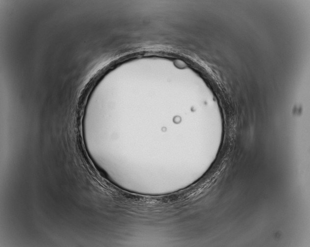 X0000097981263200804211029