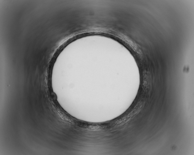 X0000097981264200804211029