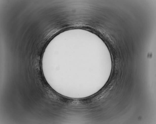 X0000097981265200804211029