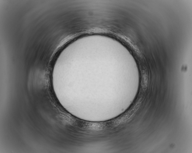 X0000097981266200804211029