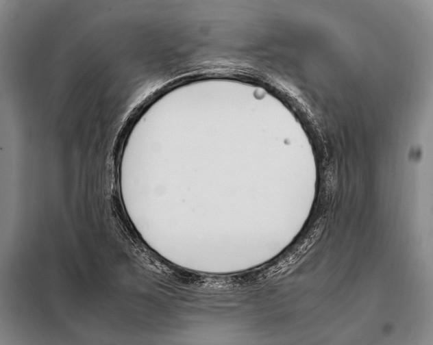 X0000097981267200804211029