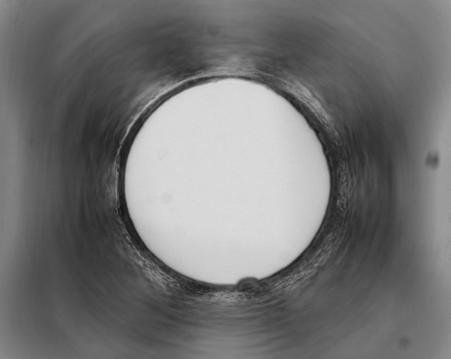 X0000097981268200804211029