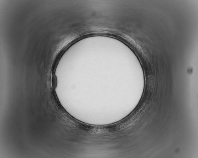 X0000097981269200804211028