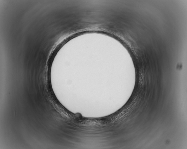 X0000097981270200804211028