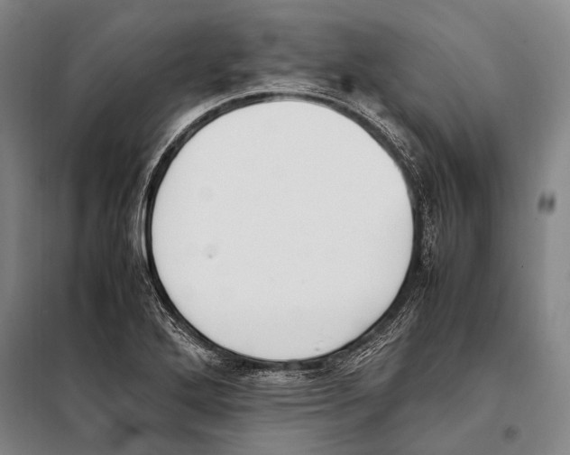 X0000097981272200804211028