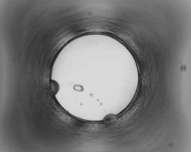 X0000097981273200804211028