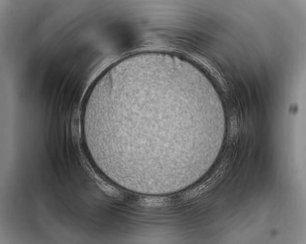 X0000097981274200804211028