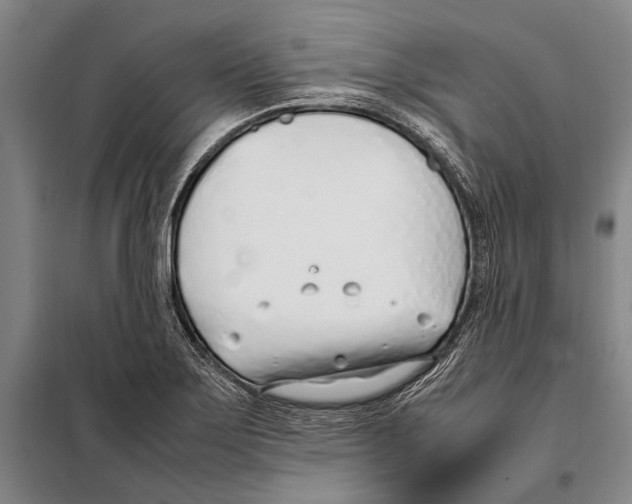 X0000097981275200804211028