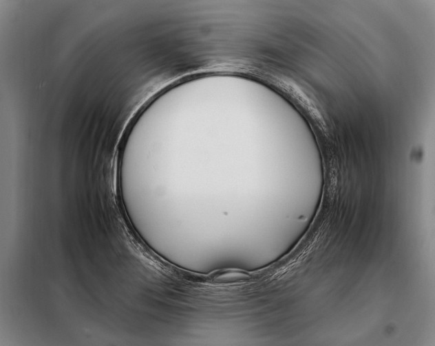 X0000097981276200804211028