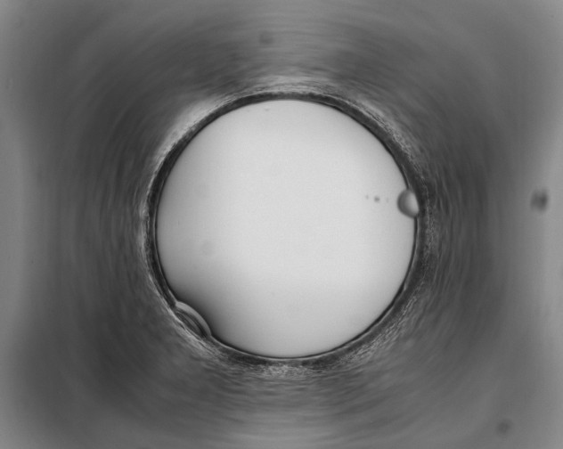 X0000097981277200804211028