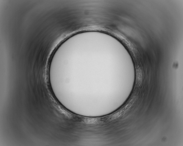 X0000097981278200804211028