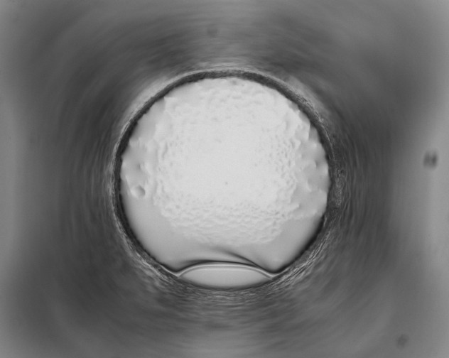 X0000097981279200804211028