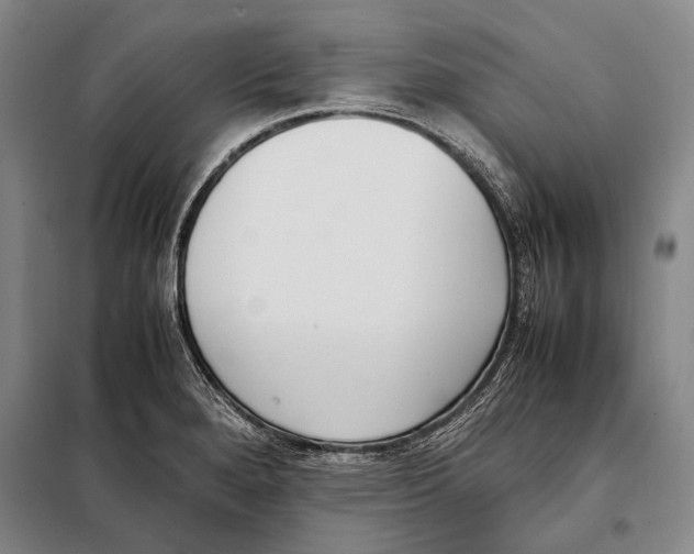 X0000097981280200804211028