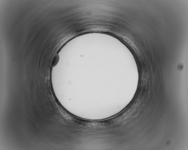 X0000097981281200804211028