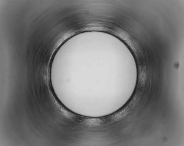 X0000097981282200804211028