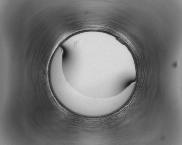 X0000097981283200804211028