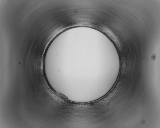 X0000097981284200804211028