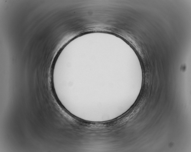 X0000097981285200804211028