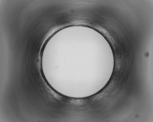 X0000097981286200804211028