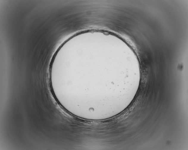 X0000097981287200804211028