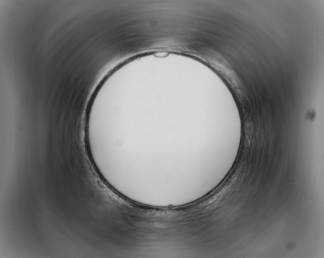 X0000097981288200804211028