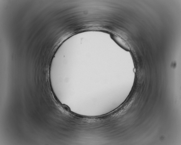 X0000097981289200804211028