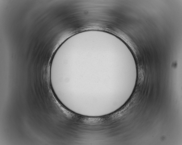 X0000097981290200804211028