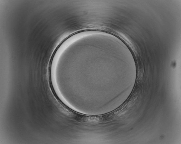 X0000097981291200804211028