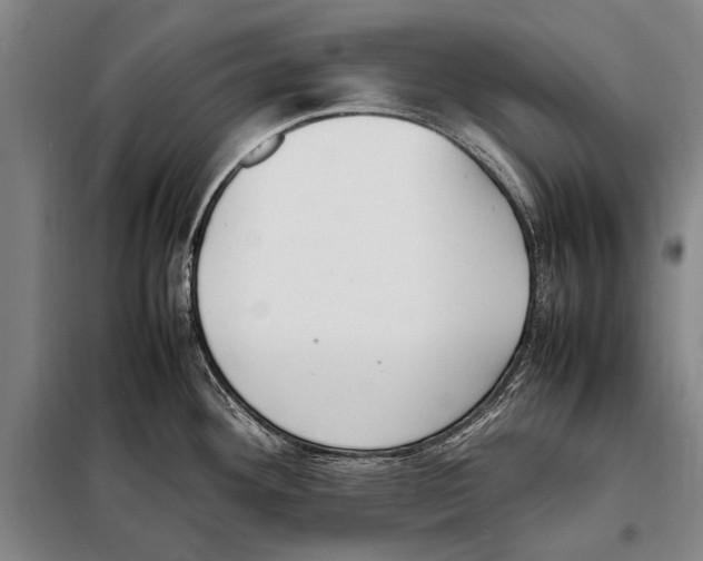 X0000097981292200804211028