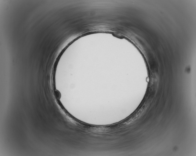 X0000097981293200804211028