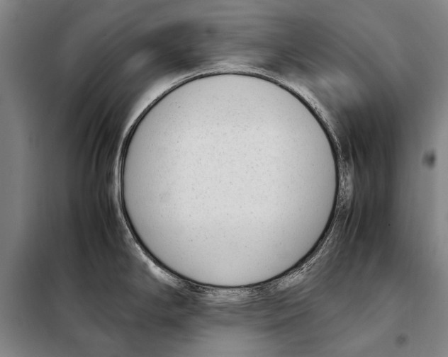 X0000097981294200804211028