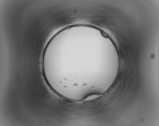 X0000097981295200804211028