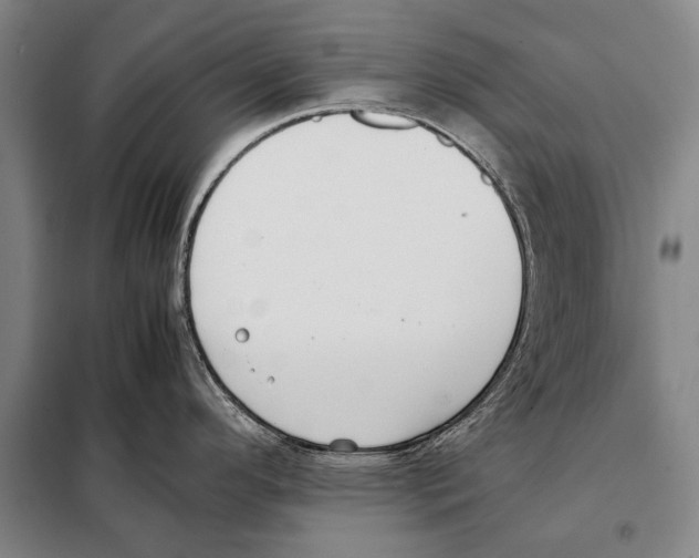 X0000097981296200804211028