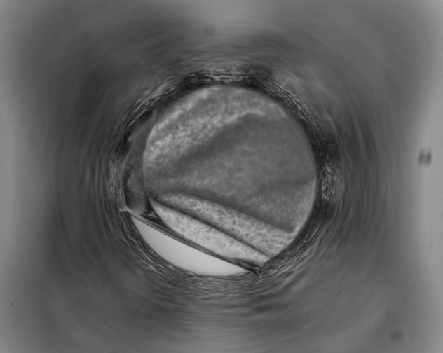 X0000097981298200804211027