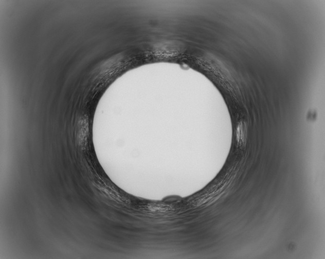 X0000097981299200804211027