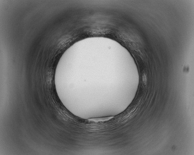 X0000097981300200804211027