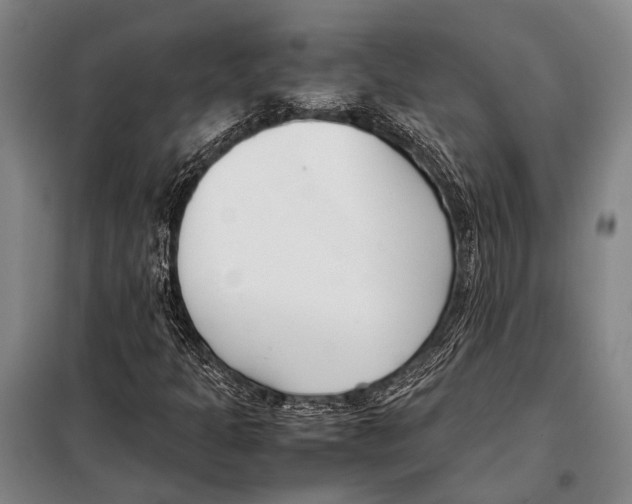 X0000097981301200804211028