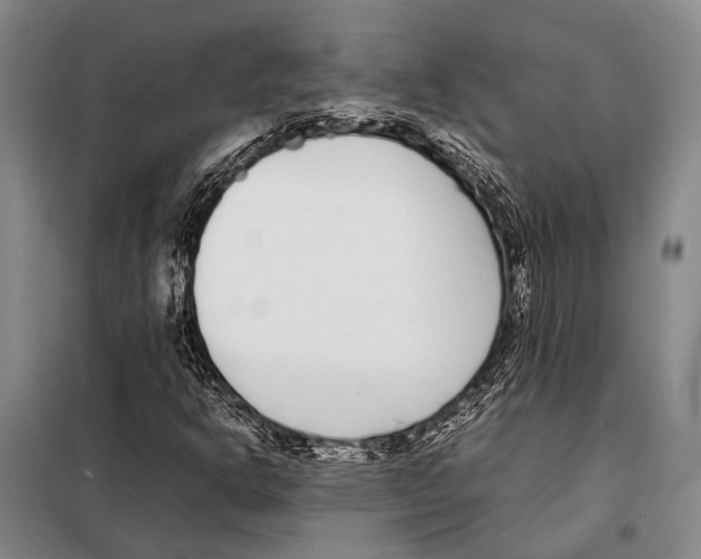 X0000097981302200804211028