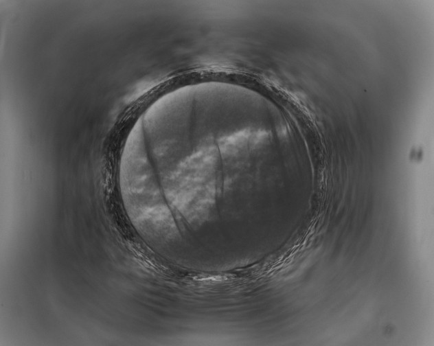 X0000097981303200804211028