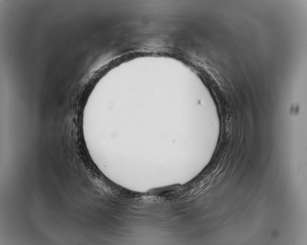 X0000097981304200804211028