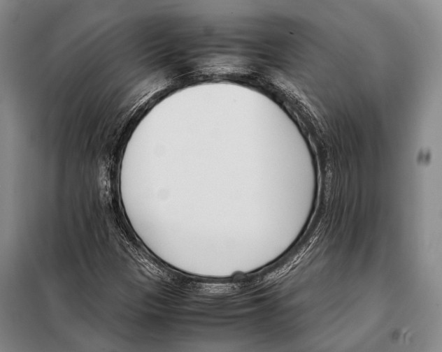 X0000097981305200804211028