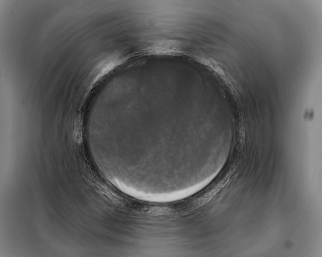 X0000097981306200804211028