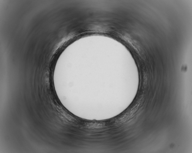 X0000097981307200804211028