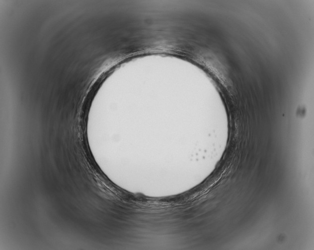 X0000097981308200804211028