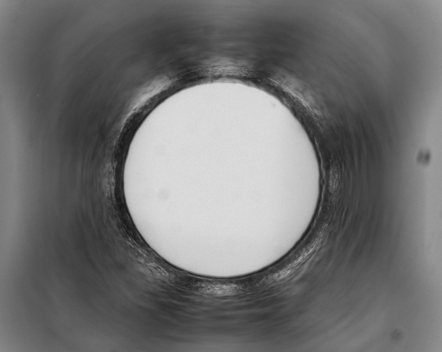 X0000097981309200804211028