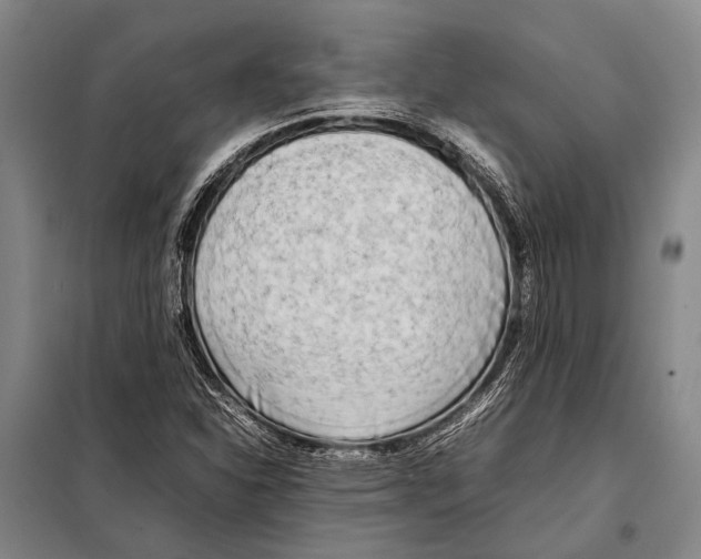 X0000097981310200804211028