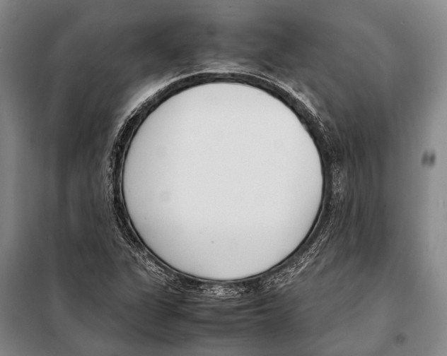 X0000097981311200804211028